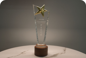 Wayfair优秀合作伙伴