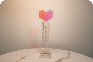 Lazada 优秀合作伙伴奖